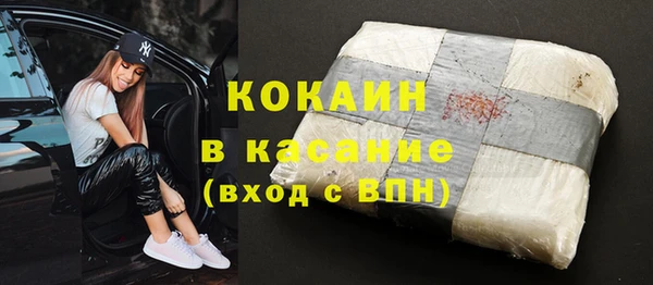 прущие грибы Ростов