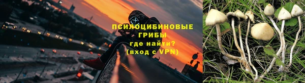 Альфа ПВП Россошь