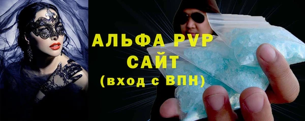 прущие грибы Ростов