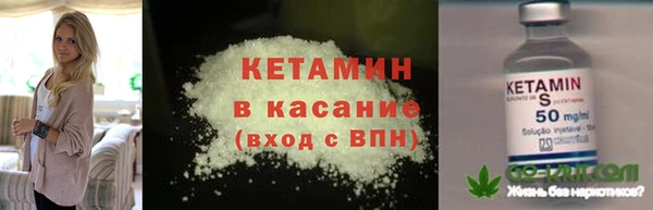 прущие грибы Ростов