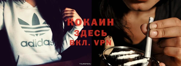 прущие грибы Ростов