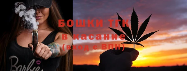 прущие грибы Ростов