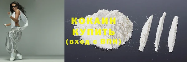 прущие грибы Ростов