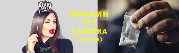 Альфа ПВП Россошь