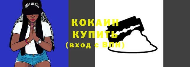 Альфа ПВП Россошь