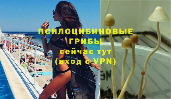 Альфа ПВП Россошь