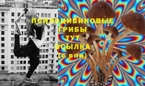 прущие грибы Ростов