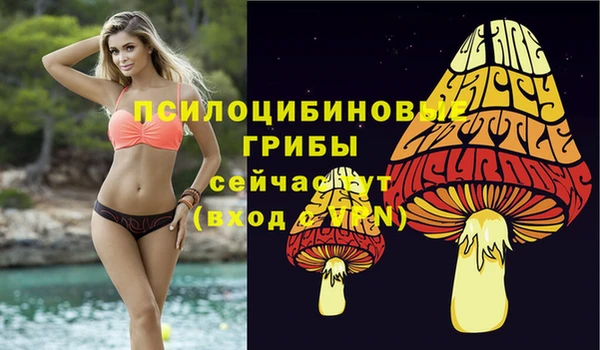 Альфа ПВП Россошь
