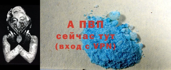 прущие грибы Ростов