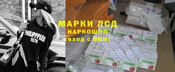 прущие грибы Ростов