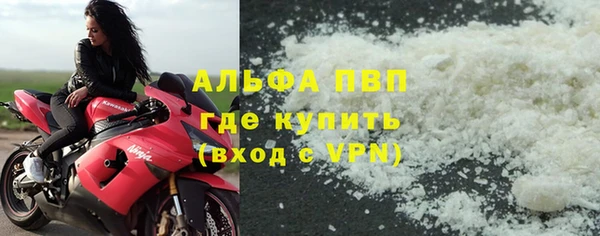 прущие грибы Ростов