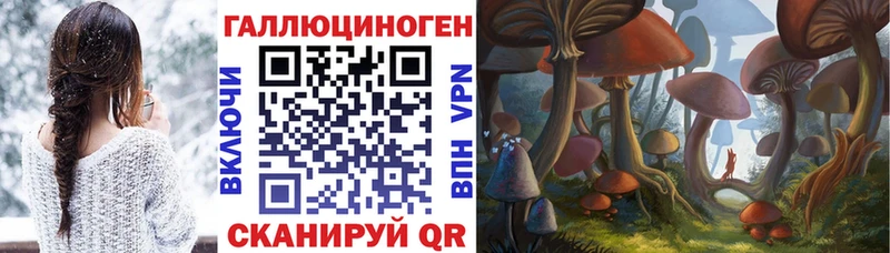 Псилоцибиновые грибы Magic Shrooms  Камышин 