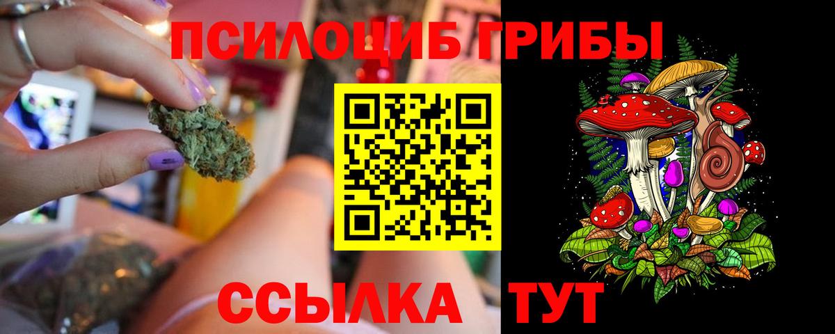 Камышин  как найти закладки  Вход с VPN  Галлюциногенные грибы GOLDEN TEACHER 