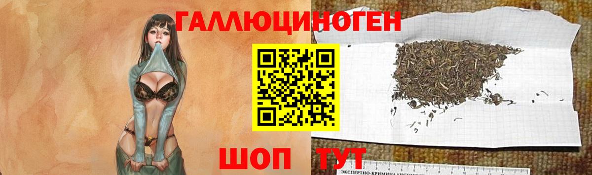 Псилоцибиновые грибы мицелий  Камышин 